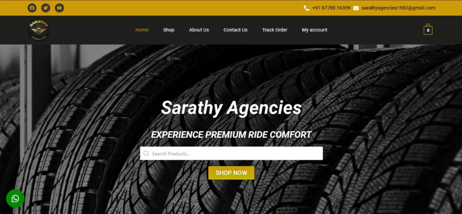 Sanjay Website Development Services (17)
